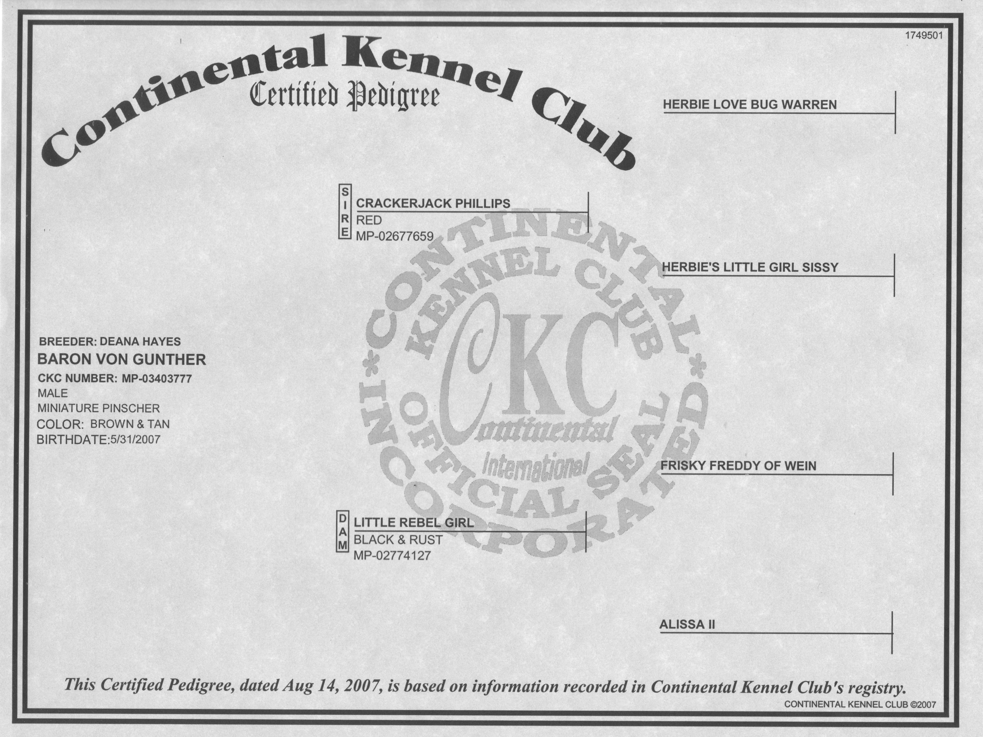 ckc continental kennel club